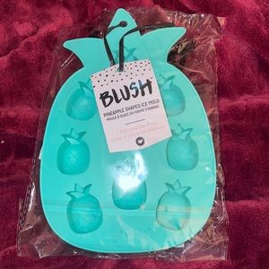 Blush Pineapple Shaped Ice Mold
